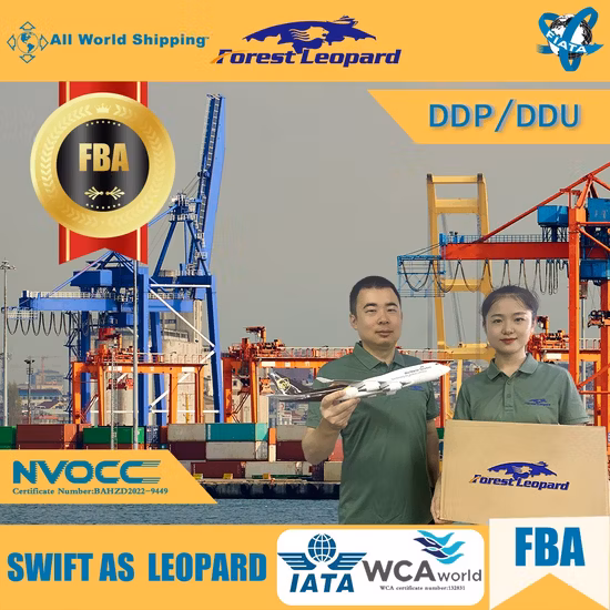 Top 3 des agents de transport maritime DDP de la Chine aux États-Unis/Canada Services logistiques de transitaire porte à porte
