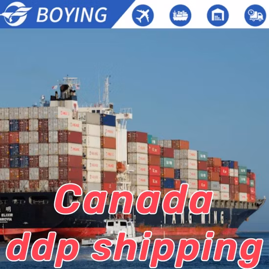 Agent chinois d'expédition de fret maritime vers l'Australie, logistique de transport spécial