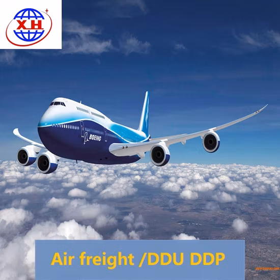 Avantage professionnel de la logistique internationale de la Chine vers le monde