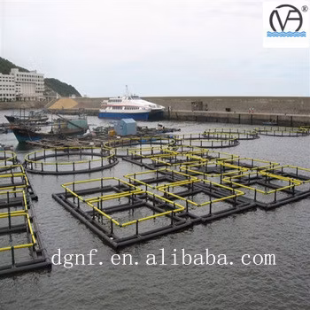 Fourniture directe d'usine de cage d'aquaculture marine supportant 400 de profondeur